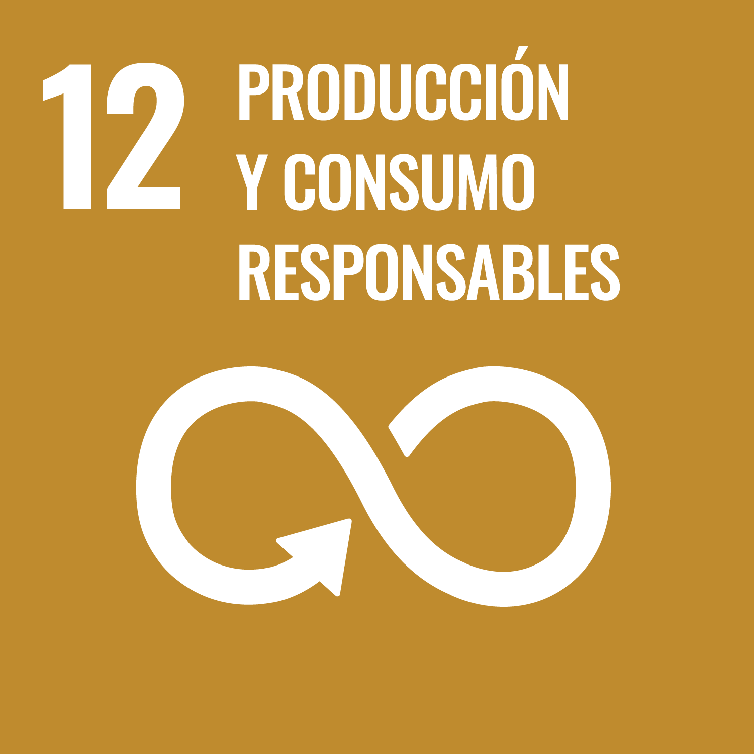 ODS 12 Objetivo de Desarrollo Sostenible 12
